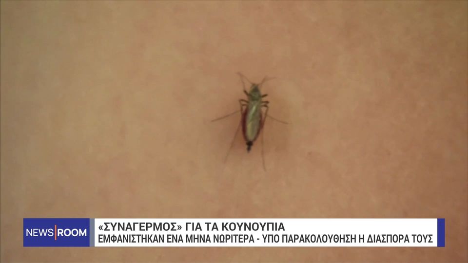 Ιός Δυτικού Νείλου: «Συναγερμός» για τα κουνούπια – Εμφανίστηκαν ένα μήνα νωρίτερα