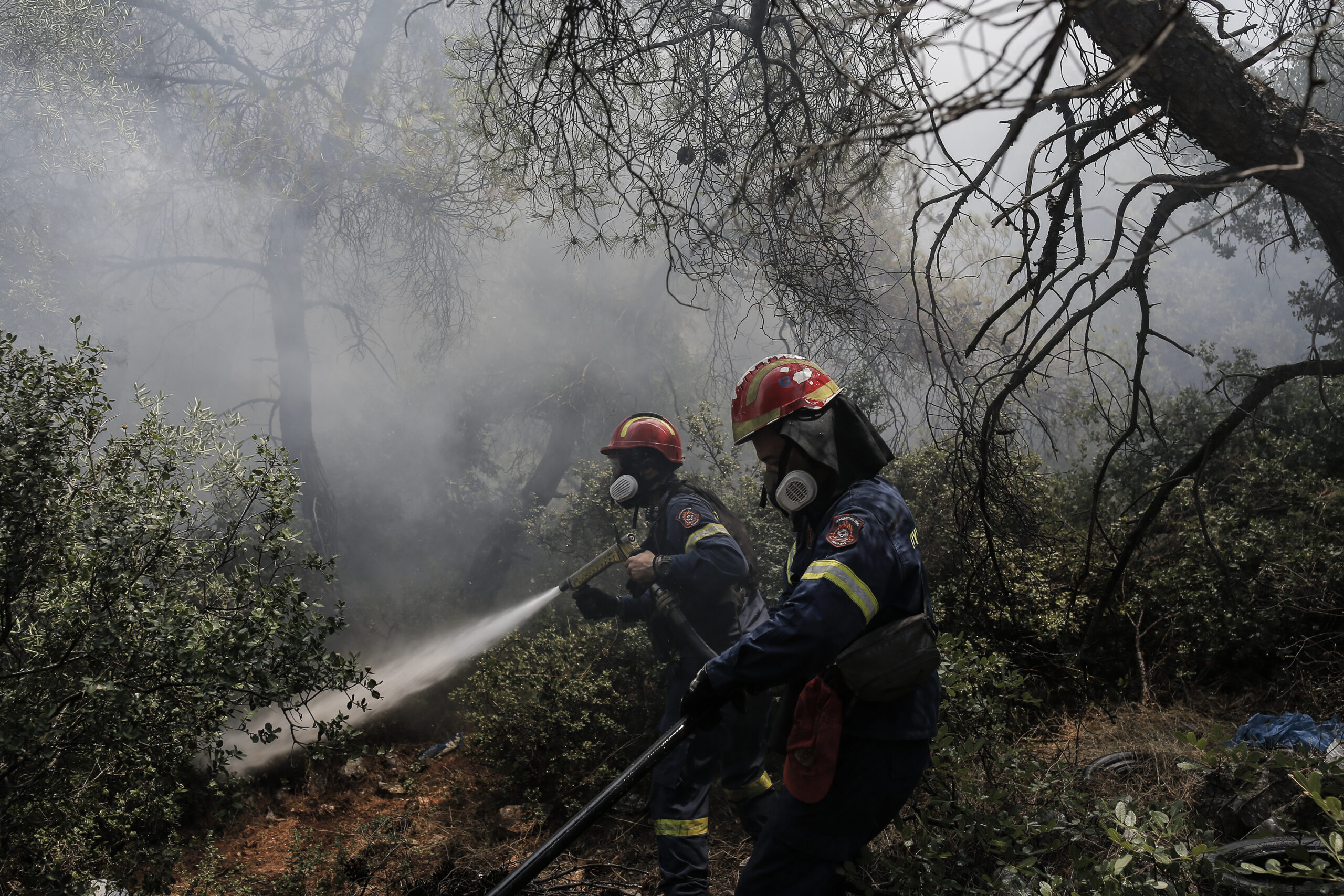 79 πυρκαγιές διαχειρίζεται η Πυροσβεστική σε όλη την επικράτεια - Αναζωπυρώσεις σε Δυτική Αττική, Ρόδο και Λακωνία