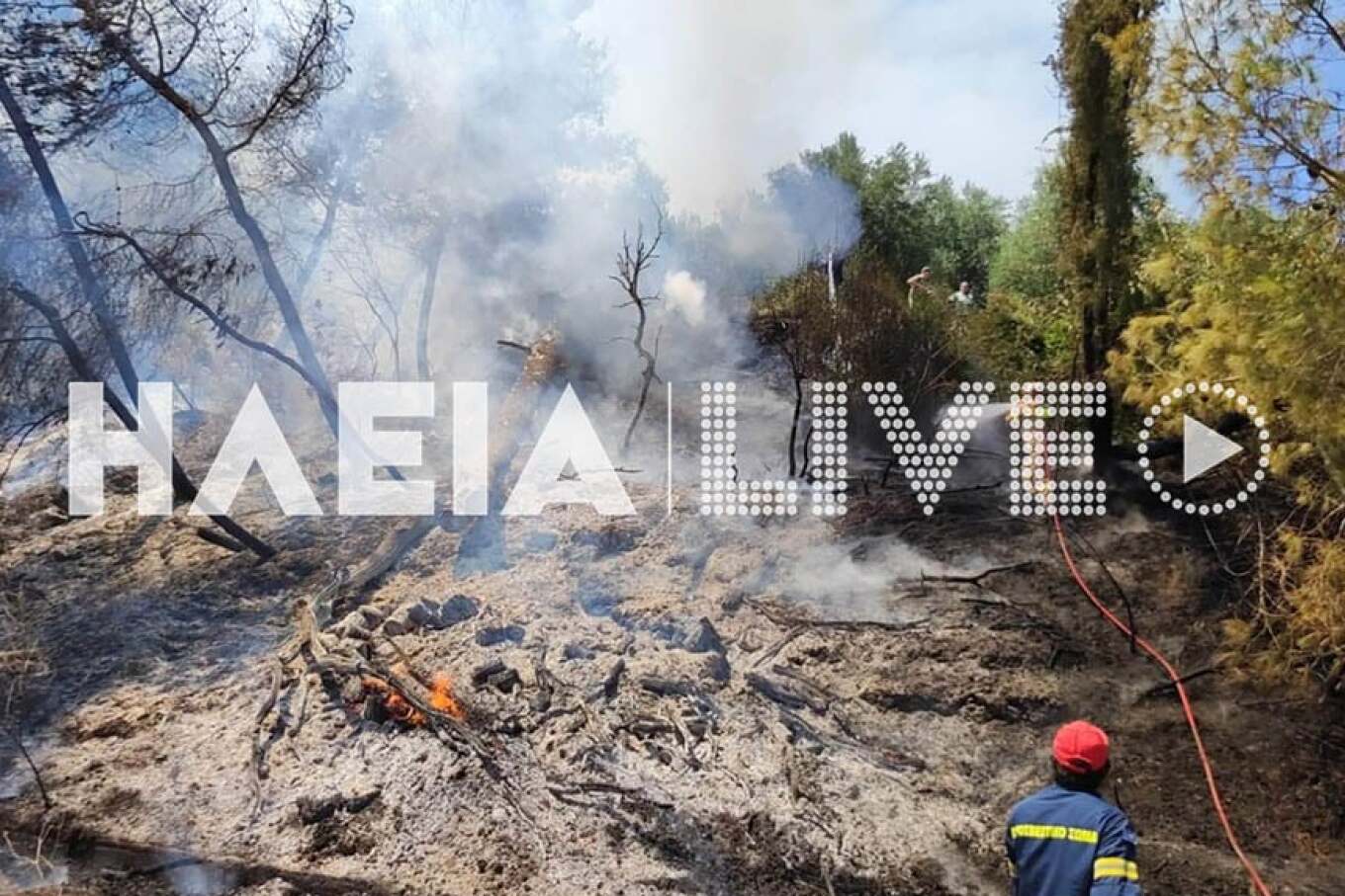 Ηλεία: Τριπλό μέτωπο σε Παλαιοβαρβάσαινα, Σαλμώνη και Αρχαία Ολυμπία - Κοντά σε σπίτια οι φλόγες, μήνυμα 112 για εκκένωση