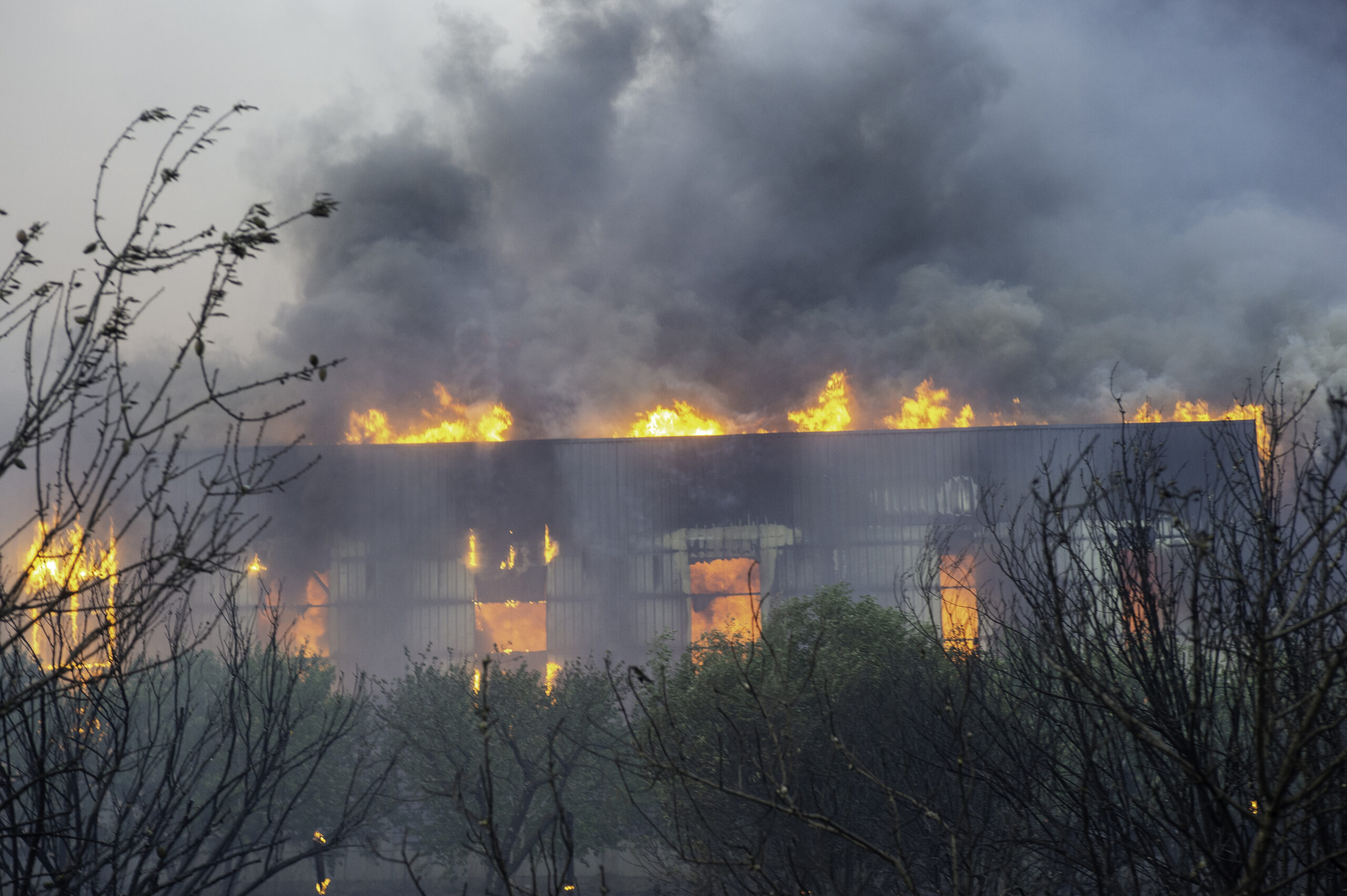 Φωτιά στα Ψαχνά Ευβοίας: Μήνυμα του 112 για εκκένωση στη Βόρεια Αρτάκη