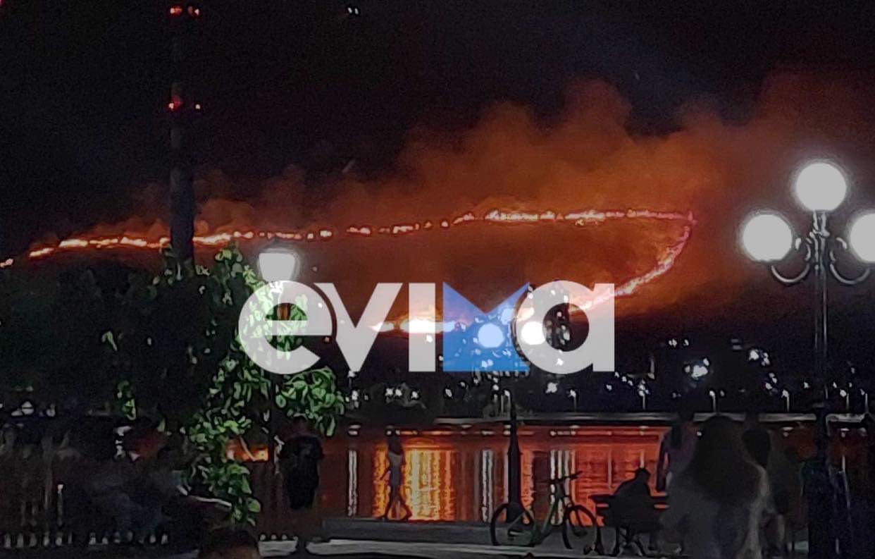 Πυρκαγιά σε δασική έκταση στην Εύβοια - Πολύ δύσκολο το βράδυ