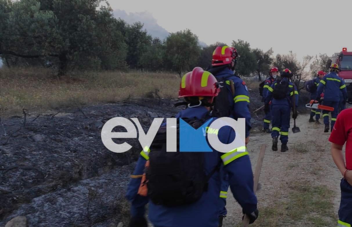 Τραγωδία στην Εύβοια: Νεκρός ο πυροσβέστης που είχε εξαφανιστεί – Τον κατασπάραξαν αγριογούρουνα