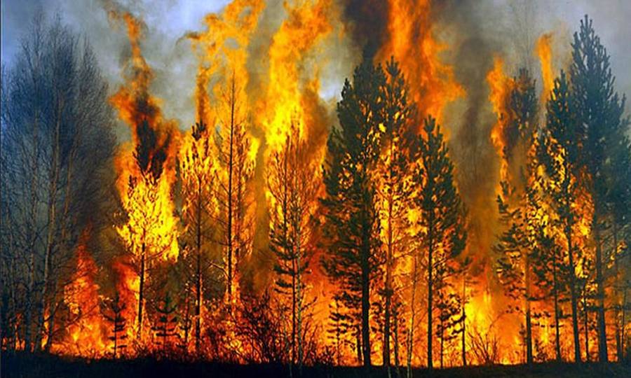 Πολύ υψηλή επικινδυνότητα δασικών πυρκαγιών το τριήμερο 9 – 11 Αυγούστου