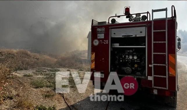 Εύβοια: Δύο οι φωτιές στα Ψαχνά – ΦΩΤΟ και ΒΙΝΤΕΟ