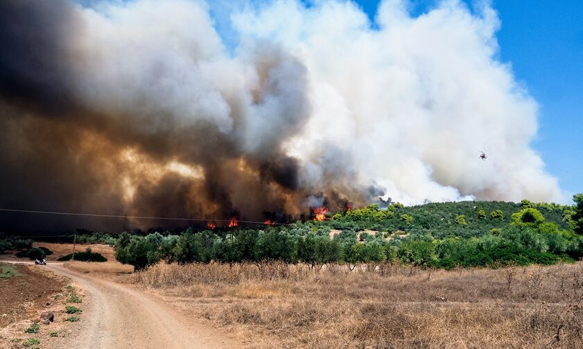Φωτιά στον Έβρο: Νέο «112» για εκκένωση της Λεπτοκαρυάς προς Σάπες