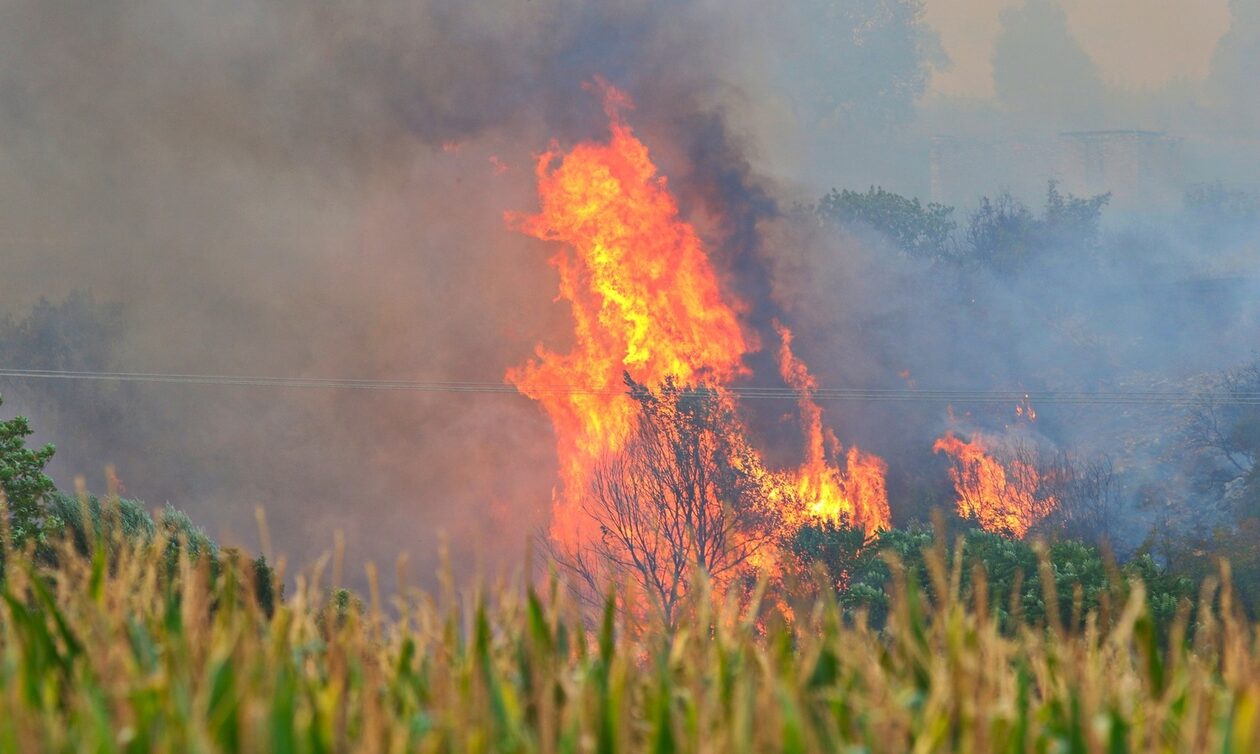 Πυροσβεστική: Αναζωπυρώσεις σε Έβρο, Πάρνηθα, Βοιωτία - Συνολικά οι πυροσβεστικές δυνάμεις αντιμετωπίζουν 122 πυρκαγιές σε όλη την επικράτεια