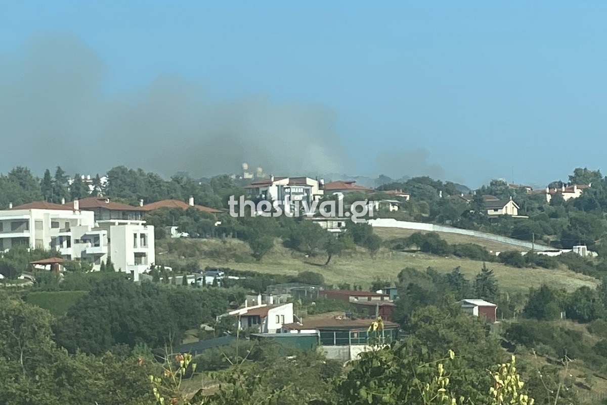 Θεσσαλονίκη: Φωτιά κοντά σε κατοικίες και στο Ελληνικό Παιδικό Χωριό SOS στο Φίλυρο (φωτο)