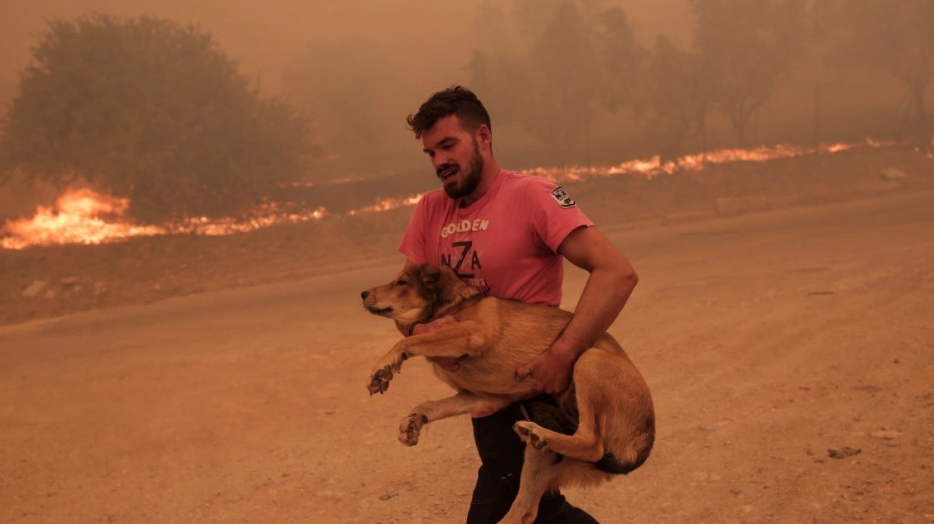 Φωτιά στην Πάρνηθα: Ο άνθρωπος που έσωσε ζώα μέσα από το πύρινο μέτωπο - Η ανάρτηση της συζύγου του