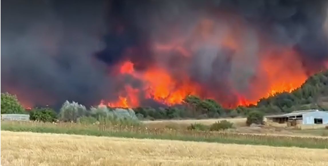 Φωτιά στην Αλεξανδρούπολη: Συνδρομή από Κύπρο και Ρουμανία στην κατάσβεση της πυρκαγιάς