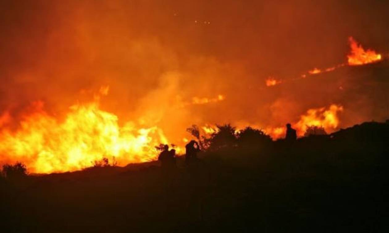 Φωτιά στη Βοιωτία - Νύχτα αγωνίας: Μήνυμα του 112 για εκκένωση των οικισμών Ζάλτσα και Στείρι