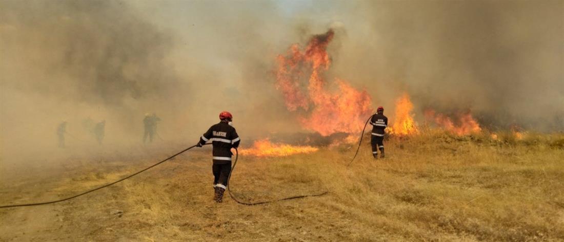 Φωτιά στο Μαρτίνο - Καίει αγροτοδασική έκταση