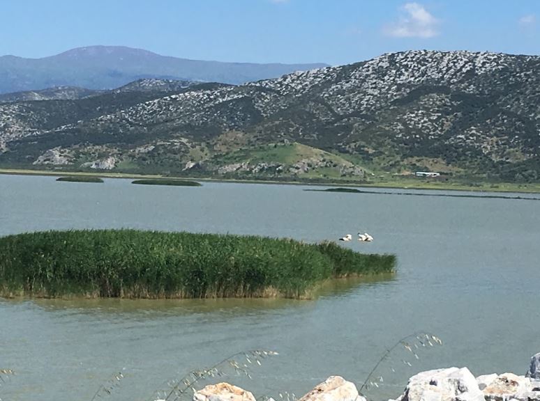 Πλημμύρες στη Θεσσαλία: Κίνδυνος για επιδημική «έκρηξη» - Τι πρέπει να προσέχουν οι κάτοικοι