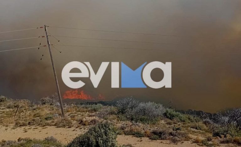 Κάρυστος: Ανεξέλεγκτες φλόγες γύρω από τα χωριά - Πνέουν ισχυροί άνεμοι και απειλούνται σπίτια