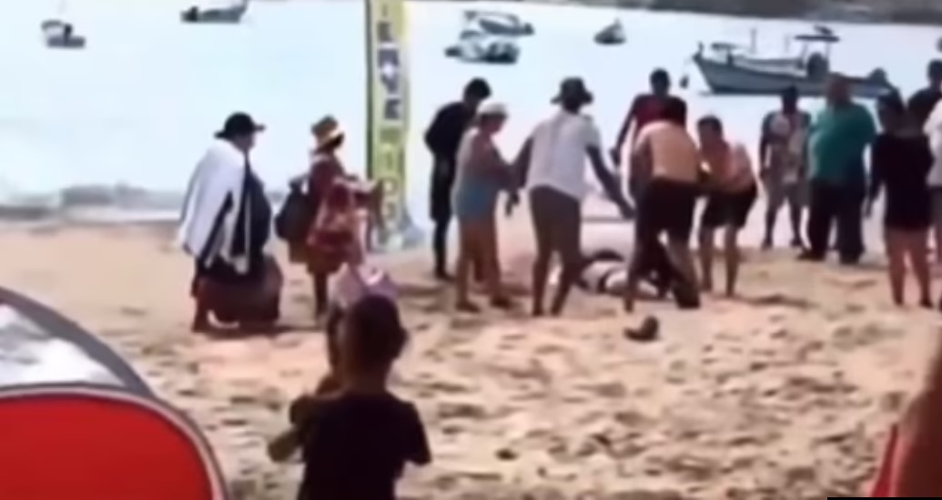 Καρχαρίας κατασπάραξε γυναίκα μπροστά στα μάτια της 5χρονης κόρης της – Βίντεο-σοκ