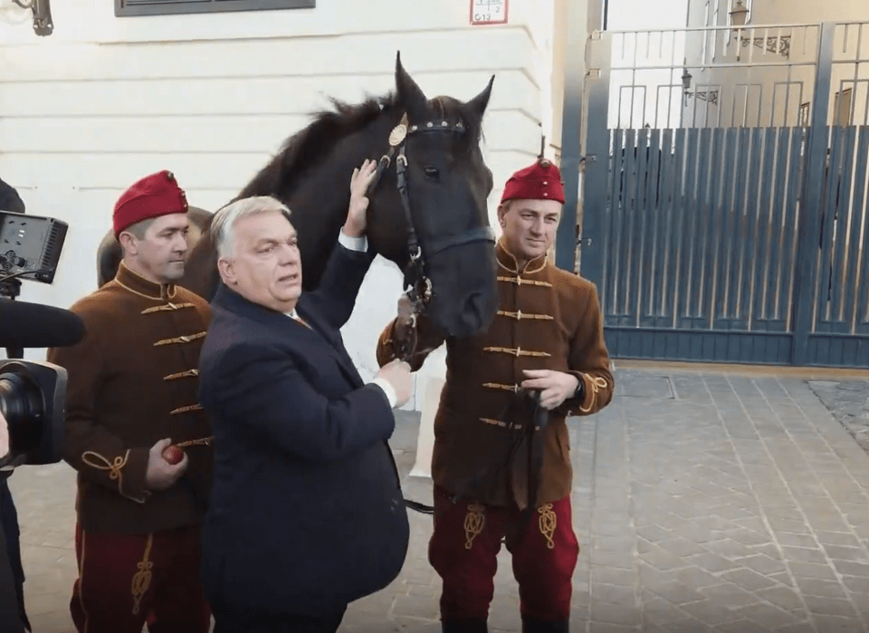 Ένα καθαρόαιμο άλογο - δώρο του Όρμπαν στον Ερντογάν και η «απάντηση» του Τούρκου Προέδρου