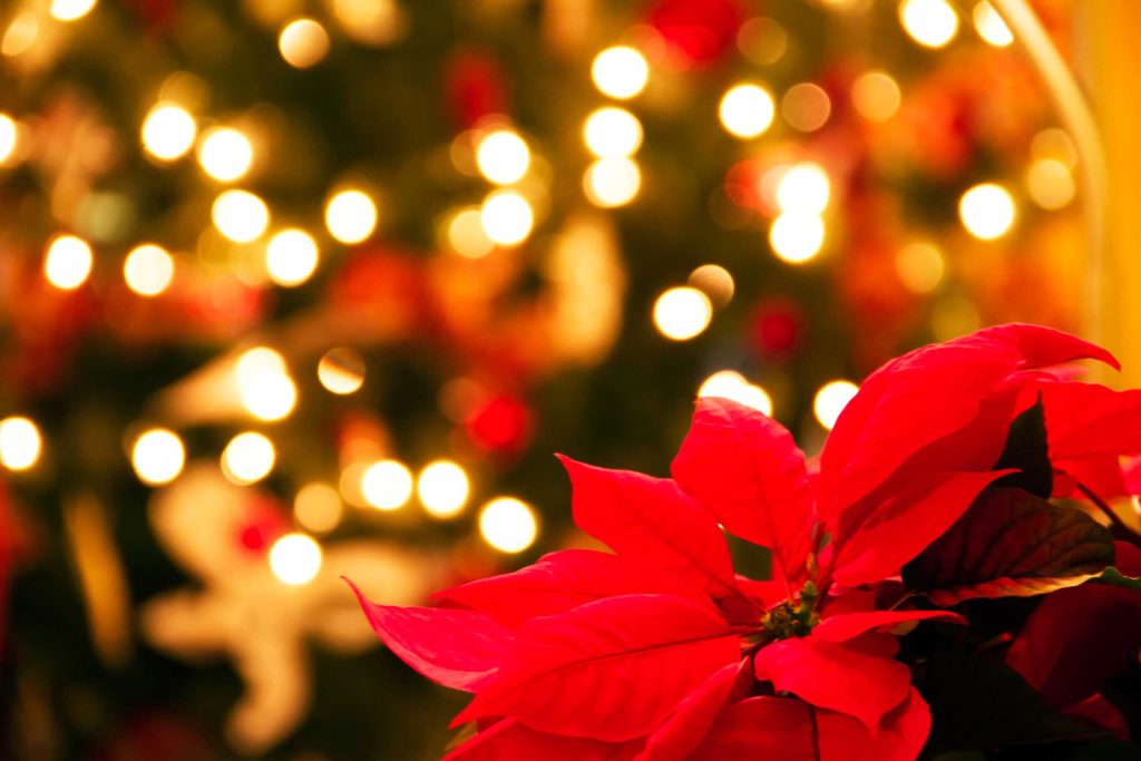 Αρκτούρος: Πού είναι το αληθινό πνεύμα των Χριστουγέννων;