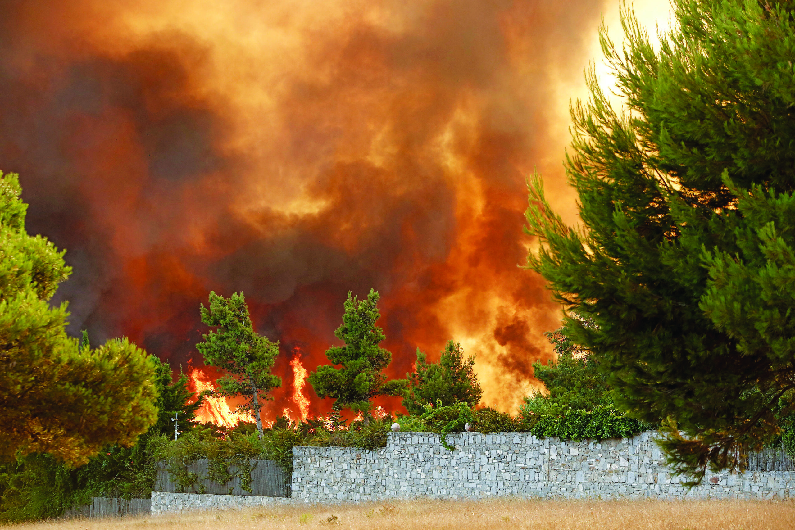 Φωτιά τώρα σε Σαλαμίνα και Παιανία - Ισχυρές δυνάμεις της Πυροσβεστικής