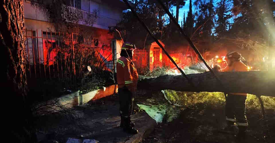 Πτώσεις δέντρων και ζημιές σε ΙΧ και μάντρες από το νυχτερινό μπουρίνι – Δεκάδες κλήσεις στην πυροσβεστική