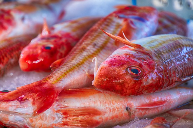 Γιάννενα: Έκλεψαν ψάρια, τα έψησαν και τα έφαγαν
