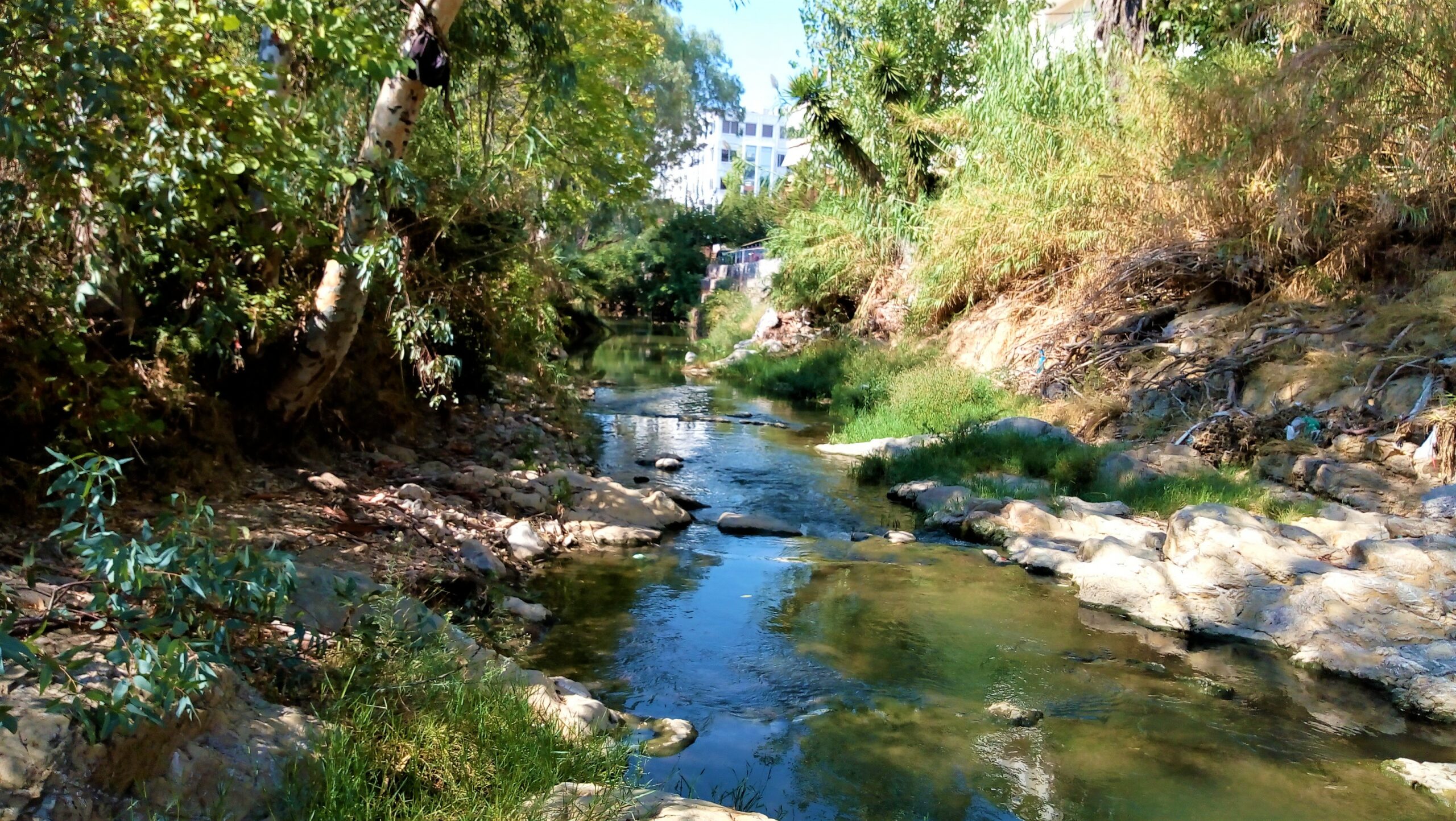 Γιατί η Αθήνα έθαψε τα ποτάμια της; - Εκδήλωση για τη διάσωση τους