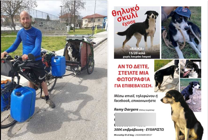 Συγκίνηση! Έχασε τη σκυλίτσα του "Ράικα" στον Έβρο και τη βρήκε έναν χρόνο μετά στη Σερβία!