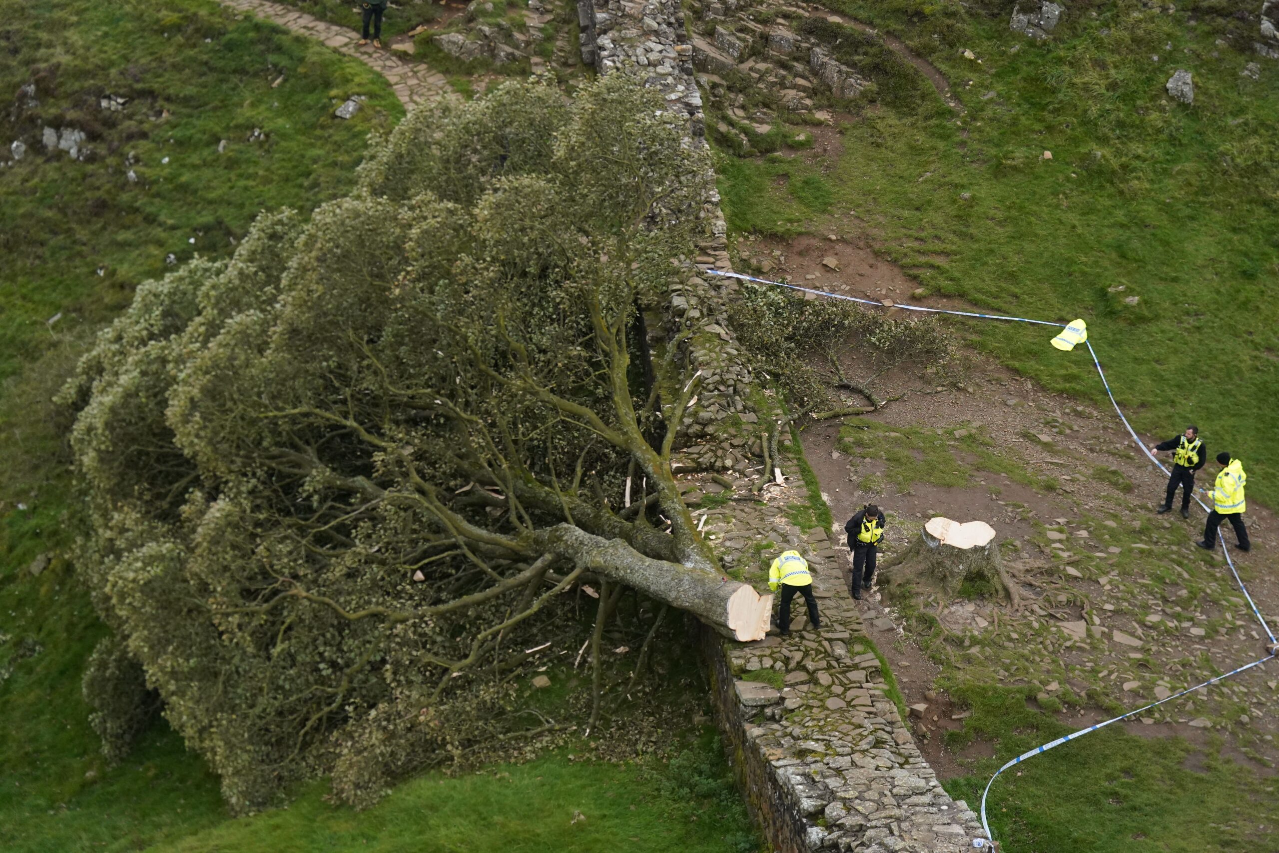 Δίωξη σε βάρος δύο Βρετανών για το κόψιμο του Sycamore Gap, του πλέον εμβληματικού δέντρου της χώρας, ηλικίας 200 ετών