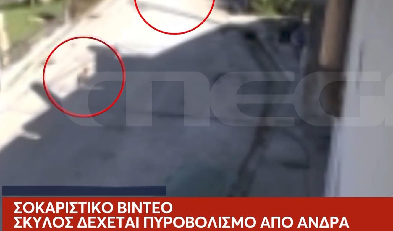 Ίριδας