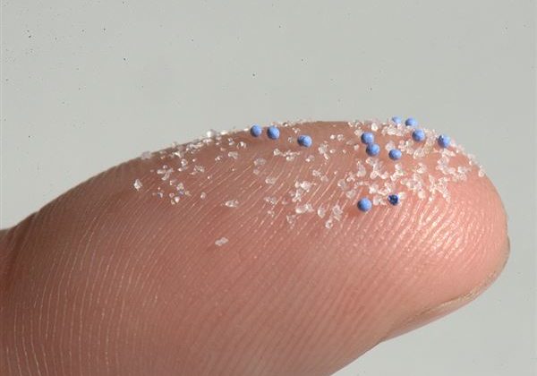 Μικροπλαστικά εντοπίστηκαν σε κάθε δείγμα από ανθρώπινους όρχεις σε επιστημονική μελέτη
