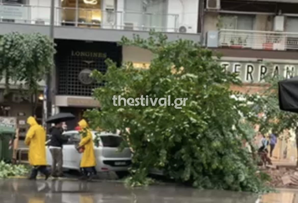 Σφοδρή καταιγίδα στην Θεσσαλονίκη: Πτώσεις δέντρων και αντλήσεις υδάτων από την Πυροσβεστική (βίντεο)