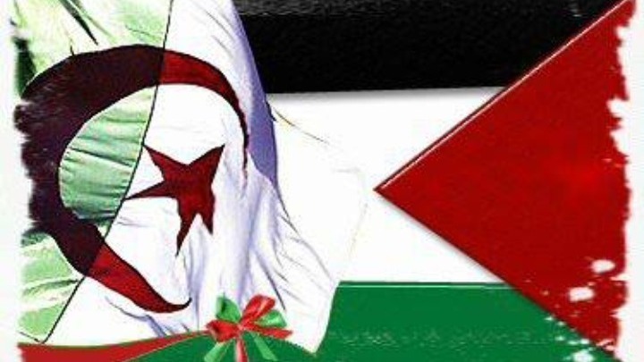 Η Αλγερία καταρτίζει σχέδιο απόφασης του ΣΑ του ΟΗΕ για να «σταματήσουν οι σκοτωμοί» στην Ράφα
