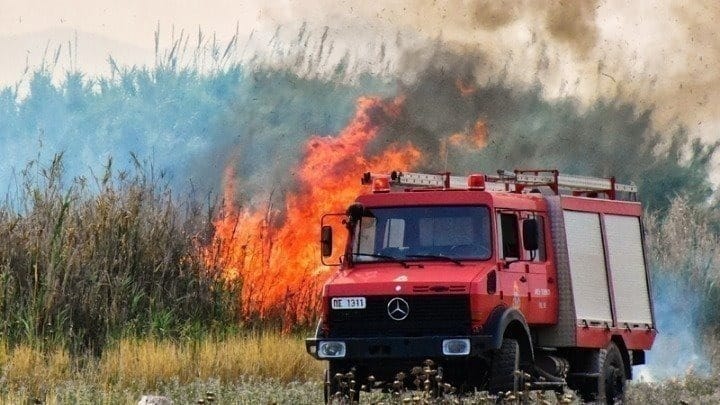 Στιμάγκα